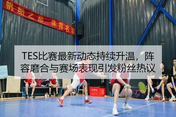 TES比赛最新动态持续升温，阵容磨合与赛场表现引发粉丝热议